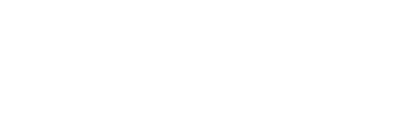 Pivot Point Consulting logo