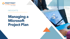 Managing a Microsoft Project Plan blog post